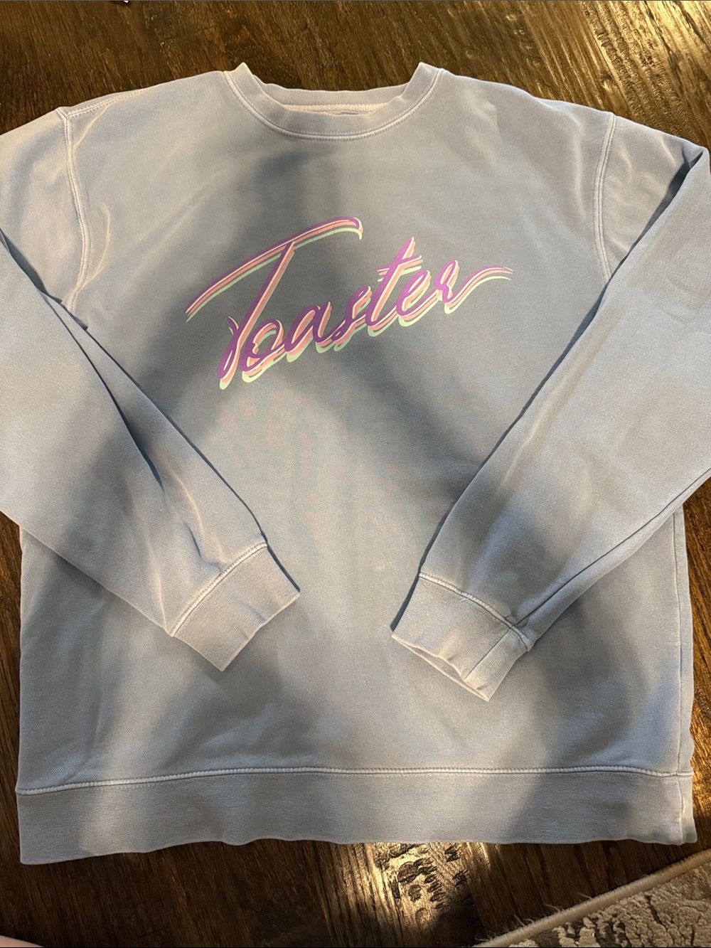 Toaster Sweatshirt in Large- The Morning Toast/The Toast